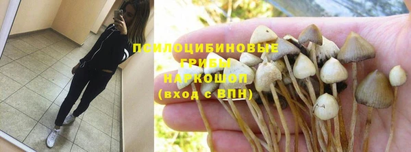 PSILOCYBIN Богданович